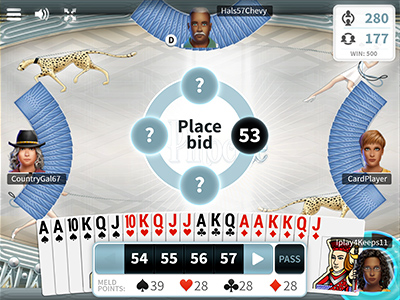 Play pinochle aol sale